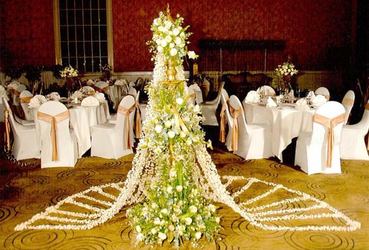 Floral Decorations For Weddings In Sri Lanka Wedding Lover